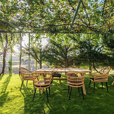 Iviskos Apartment Oinofyta エクステリア 写真